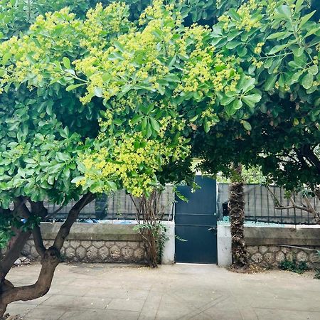 Maison 23 Coursan エクステリア 写真
