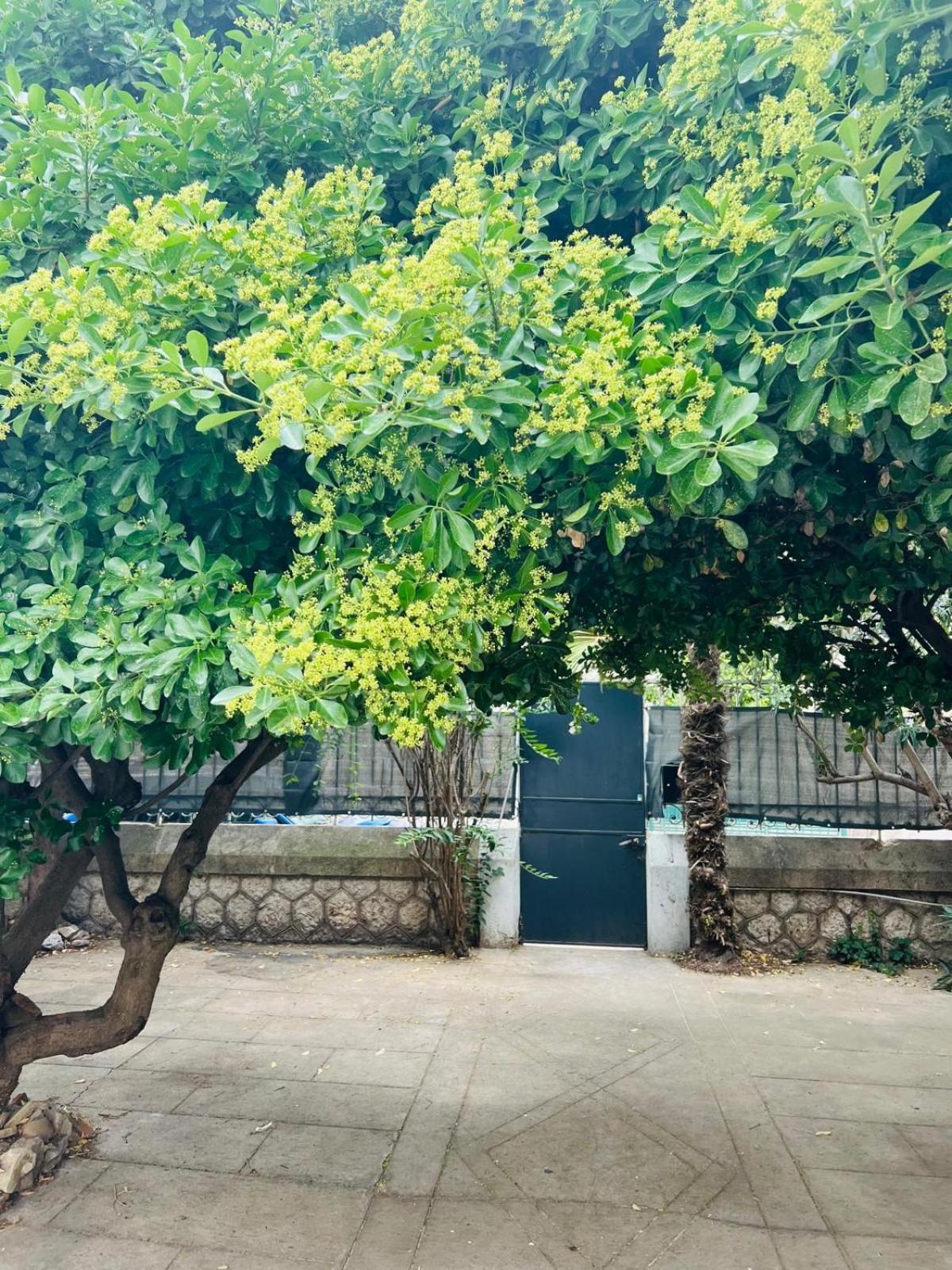 Maison 23 Coursan エクステリア 写真